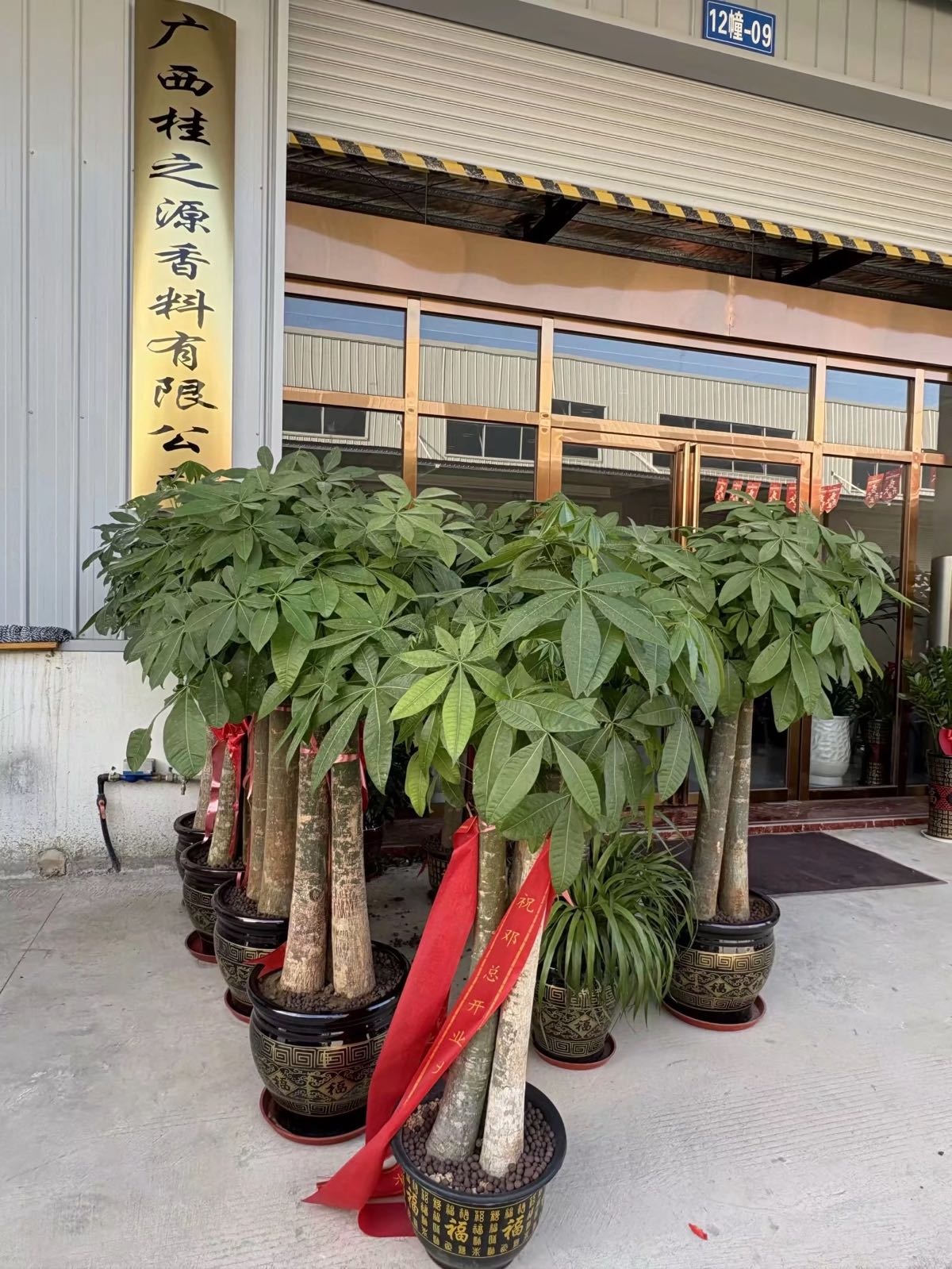 广西桂之源香料有限公司
