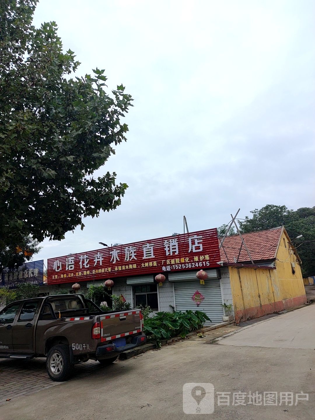 心语花卉水景直销店
