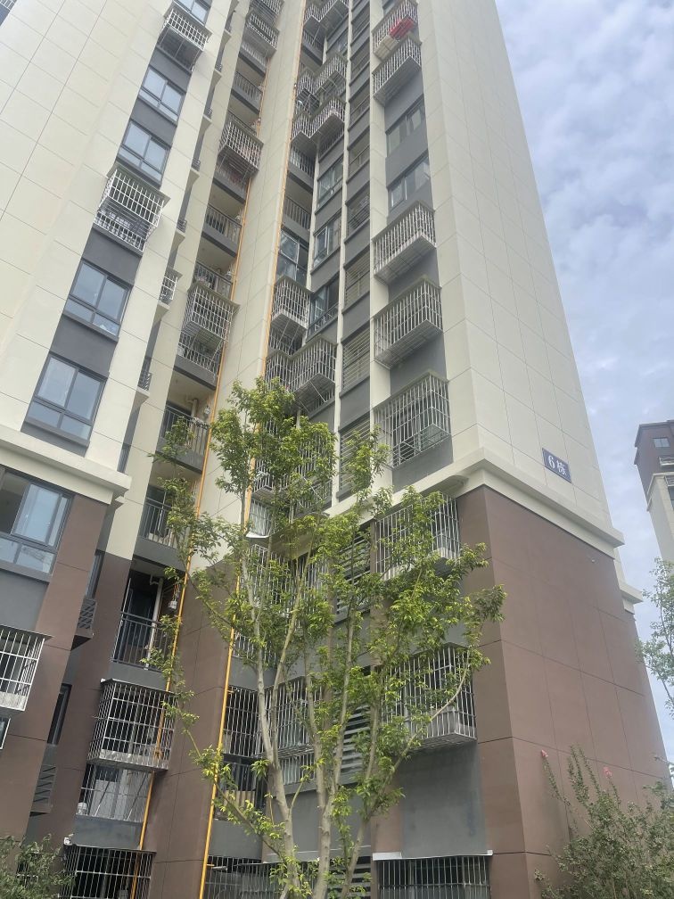 游仙高新区第三期统建安置房及配套设施建设项目四批次(凯越·东方)-6栋