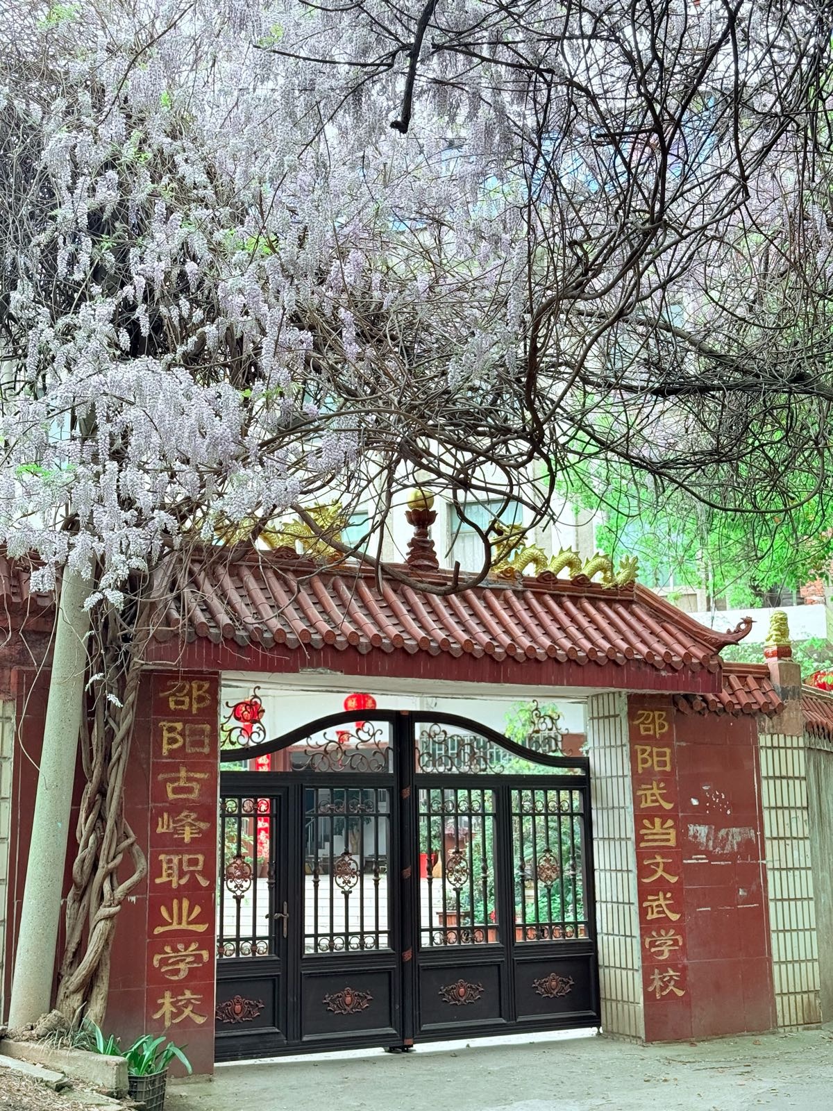 邵阳武当文武学校