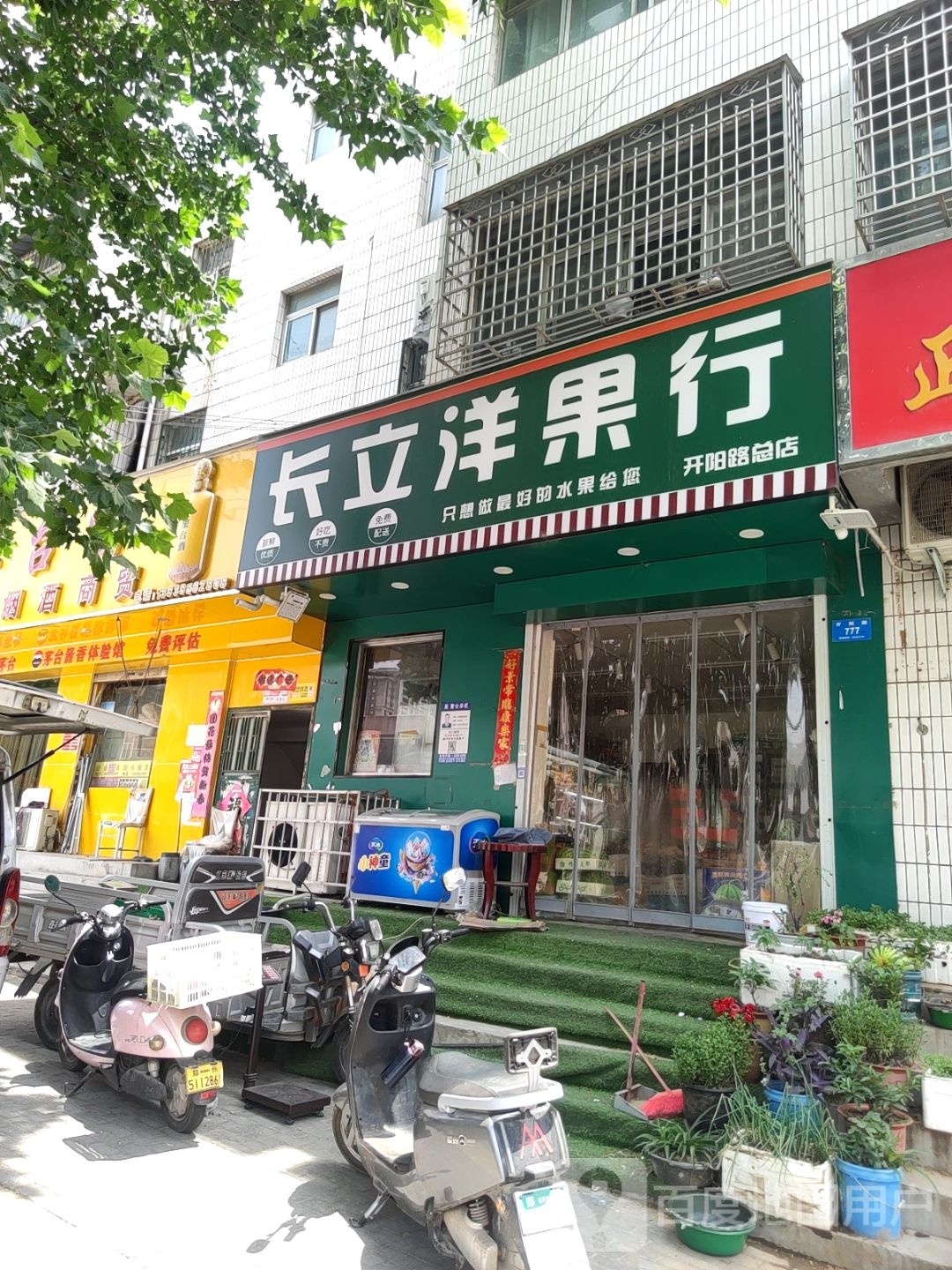 新密市长立洋果行(开阳路店)