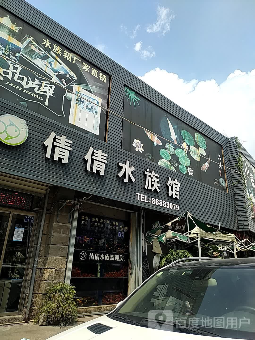 倩倩水族箱(南安官桥总店)