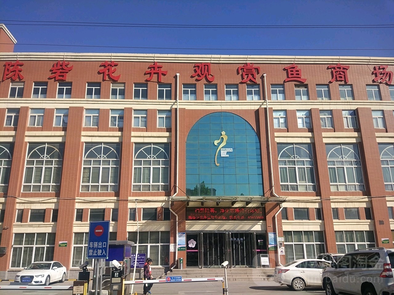 陈砦花卉大学路店图片