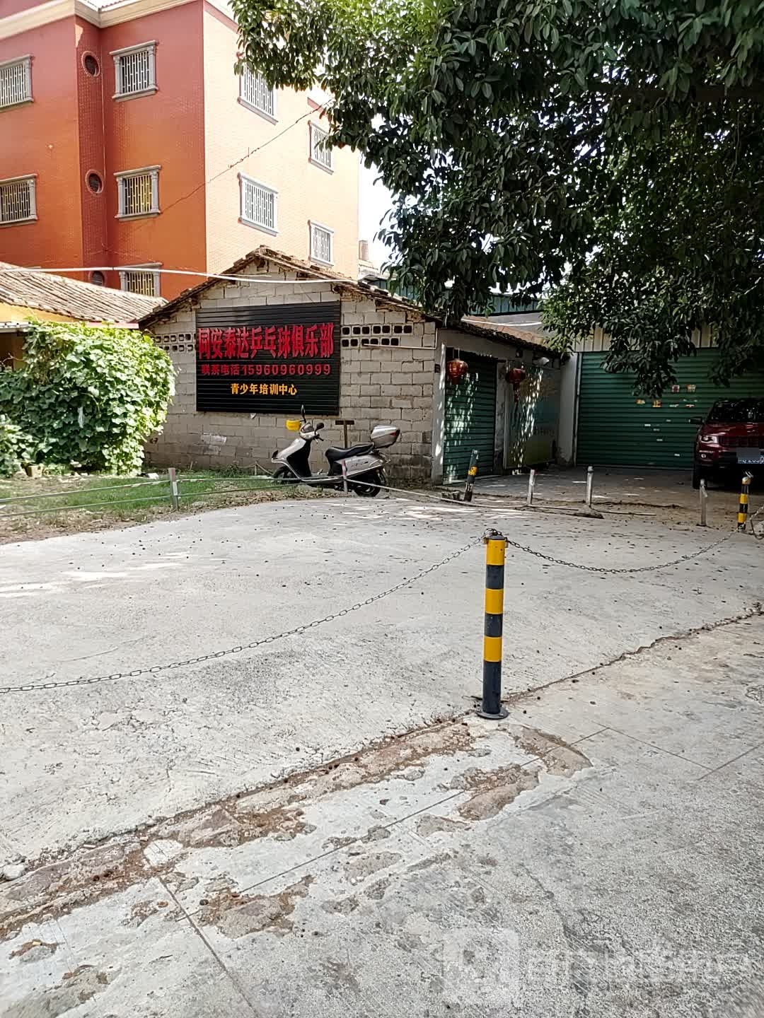 同安泰达乒乓球俱乐部青少年培训中心