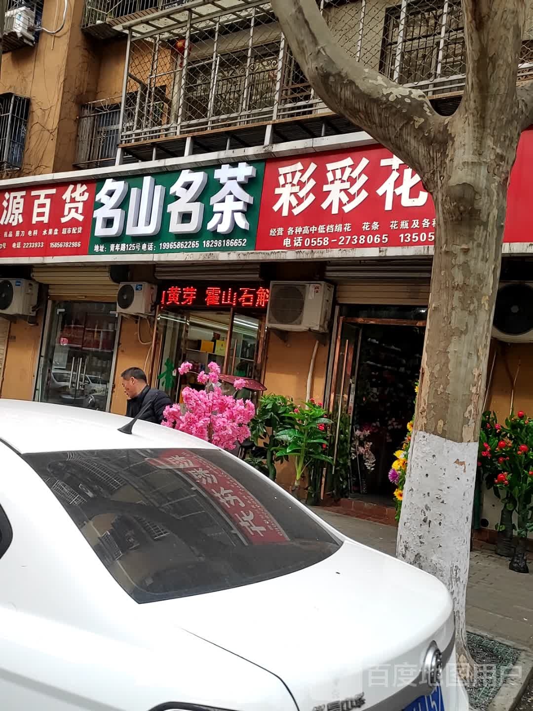 名山名茶