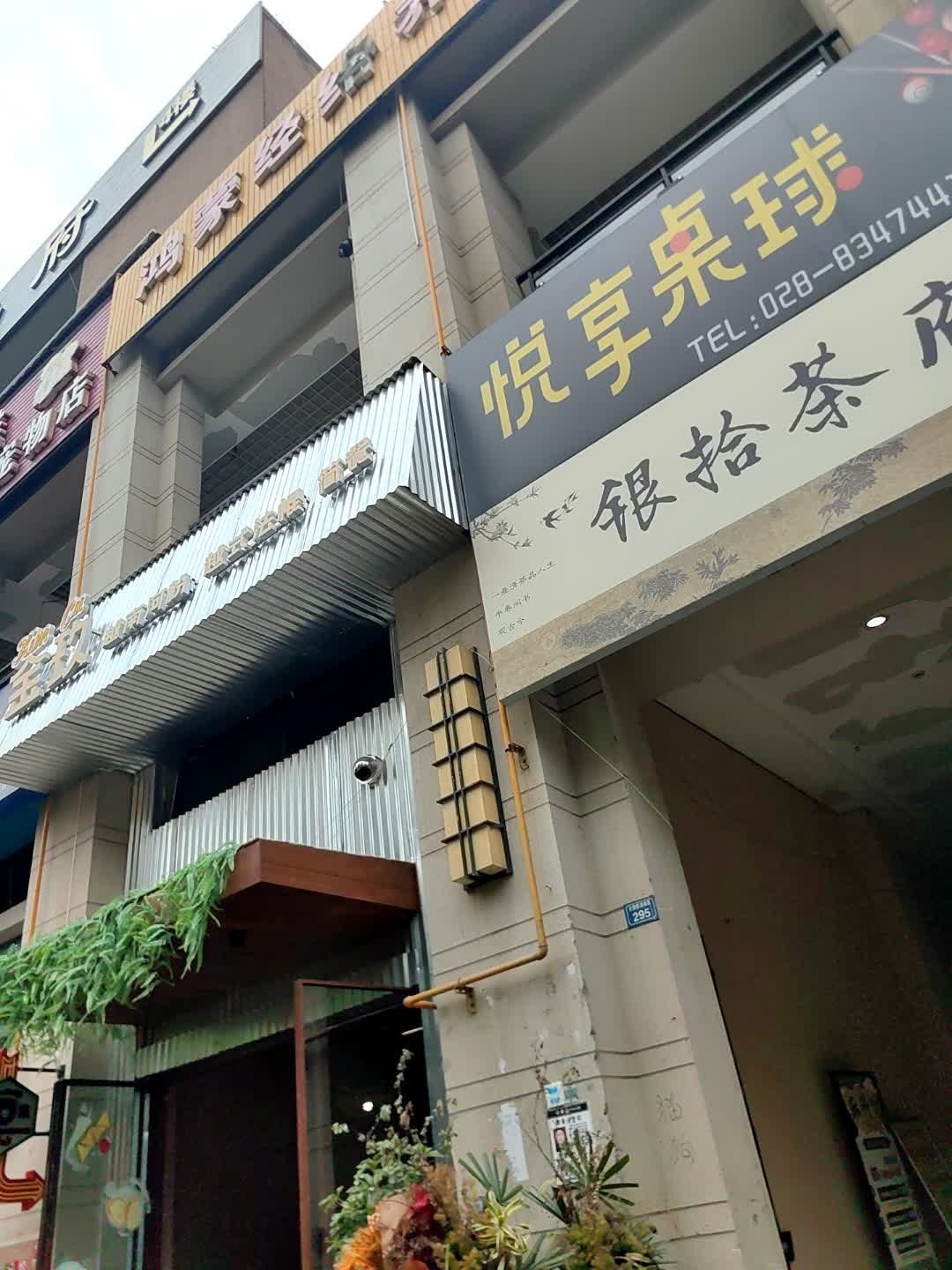 悦享桌球