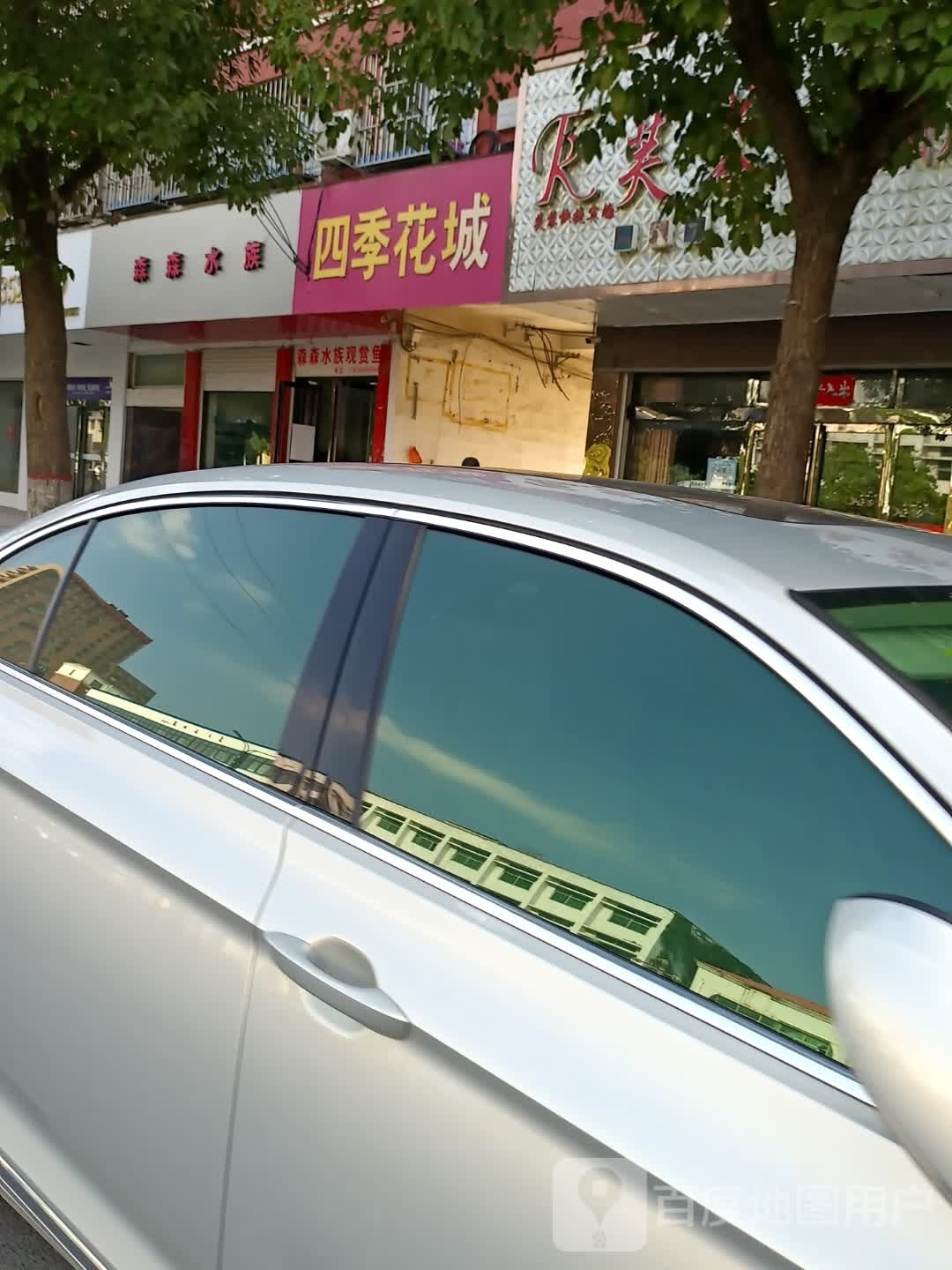 森森水族(灈阳大道店)