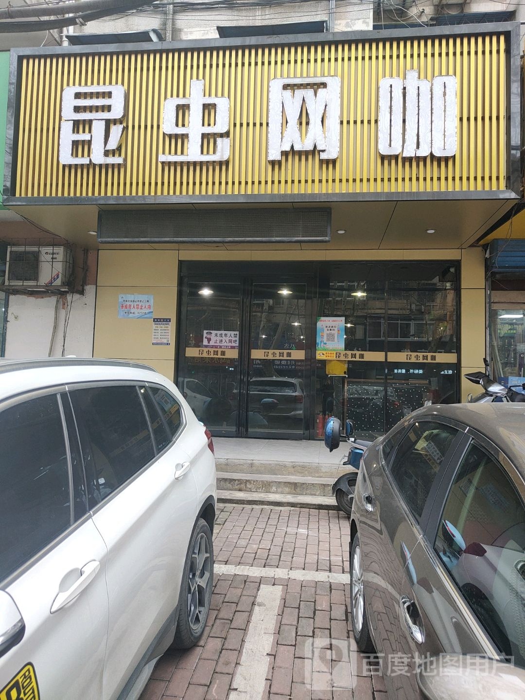 昆虫吧咖(青春鸟三店)