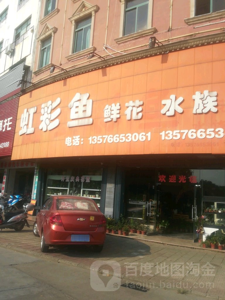 虹彩鱼鲜花水景馆