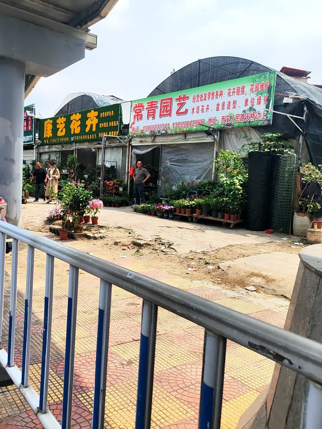 常青园艺(人民东路店)