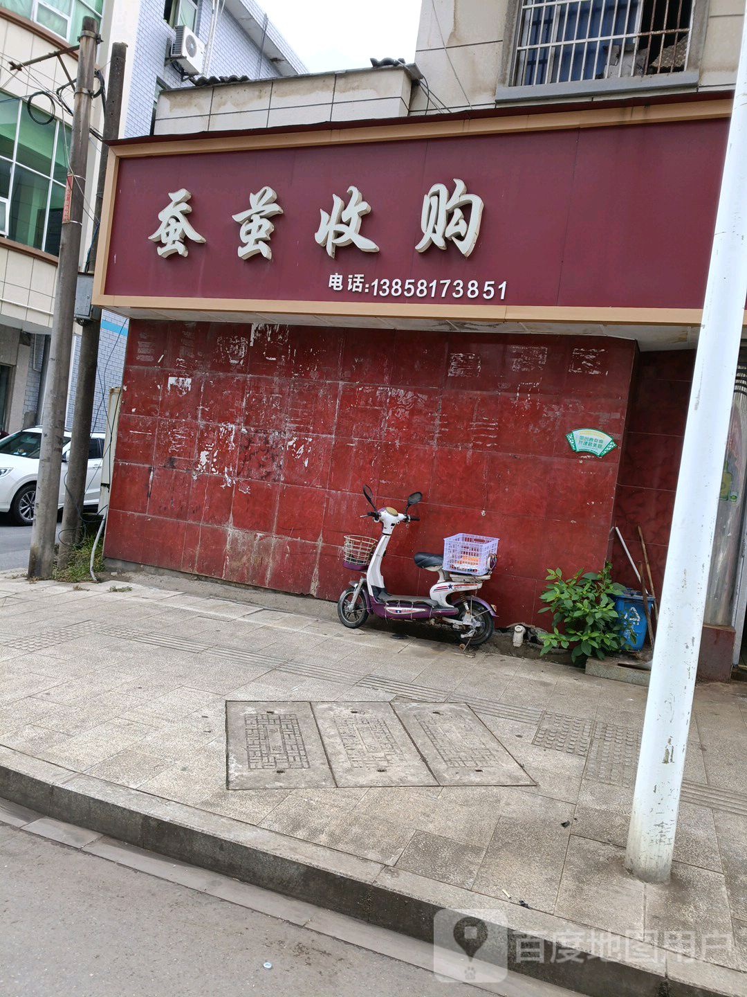 蚕茧收购