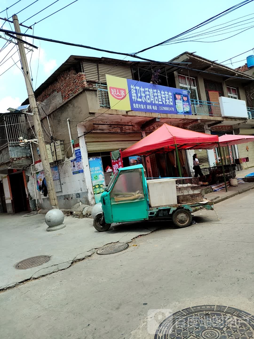 项城市韩卫东活鸡活鱼专卖店