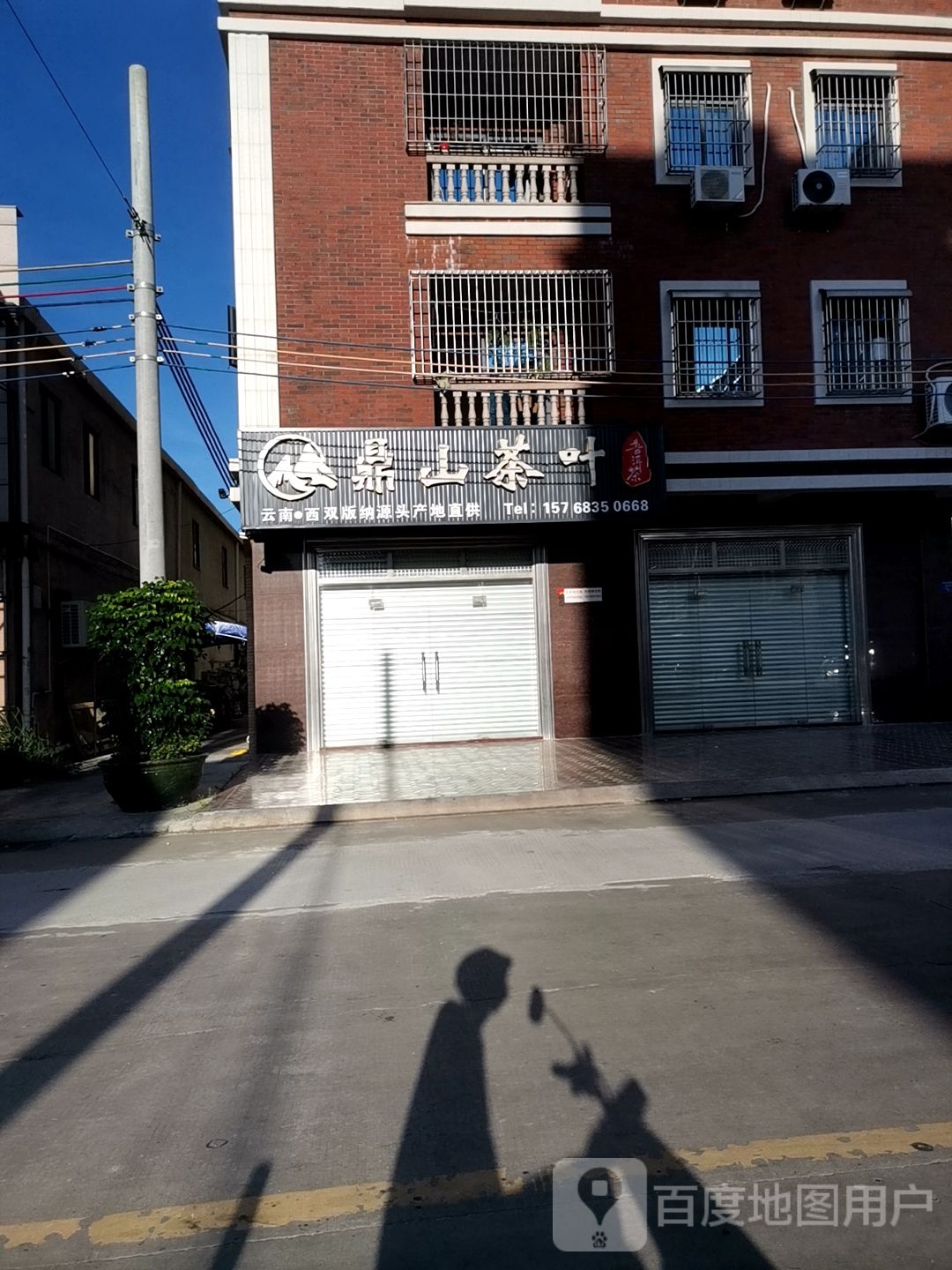鼎山茶叶
