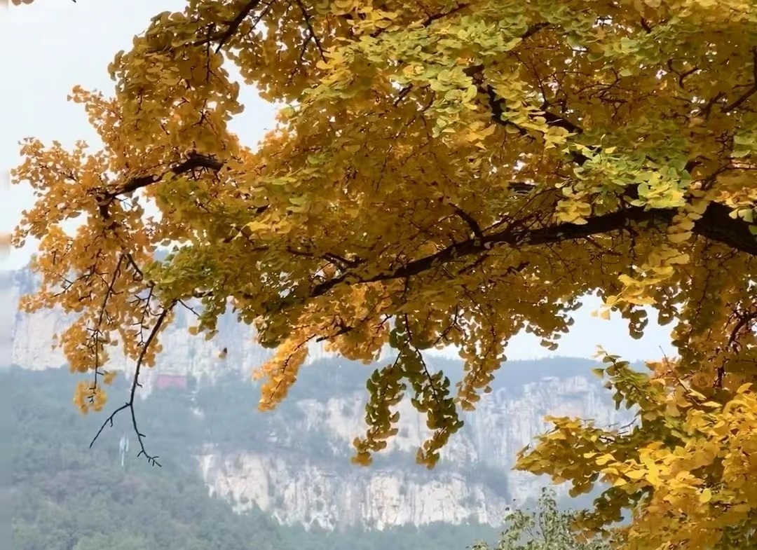 灵岩寺旅游区