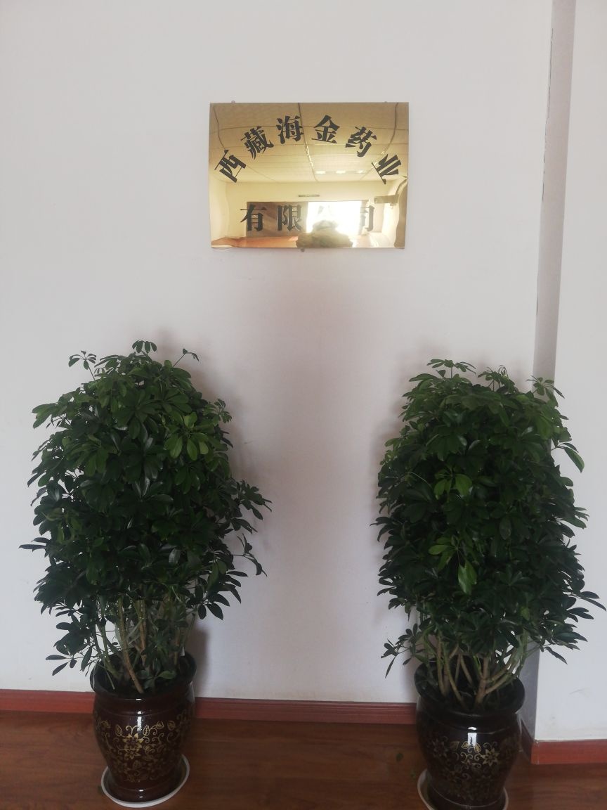 西藏海金药业有限公司