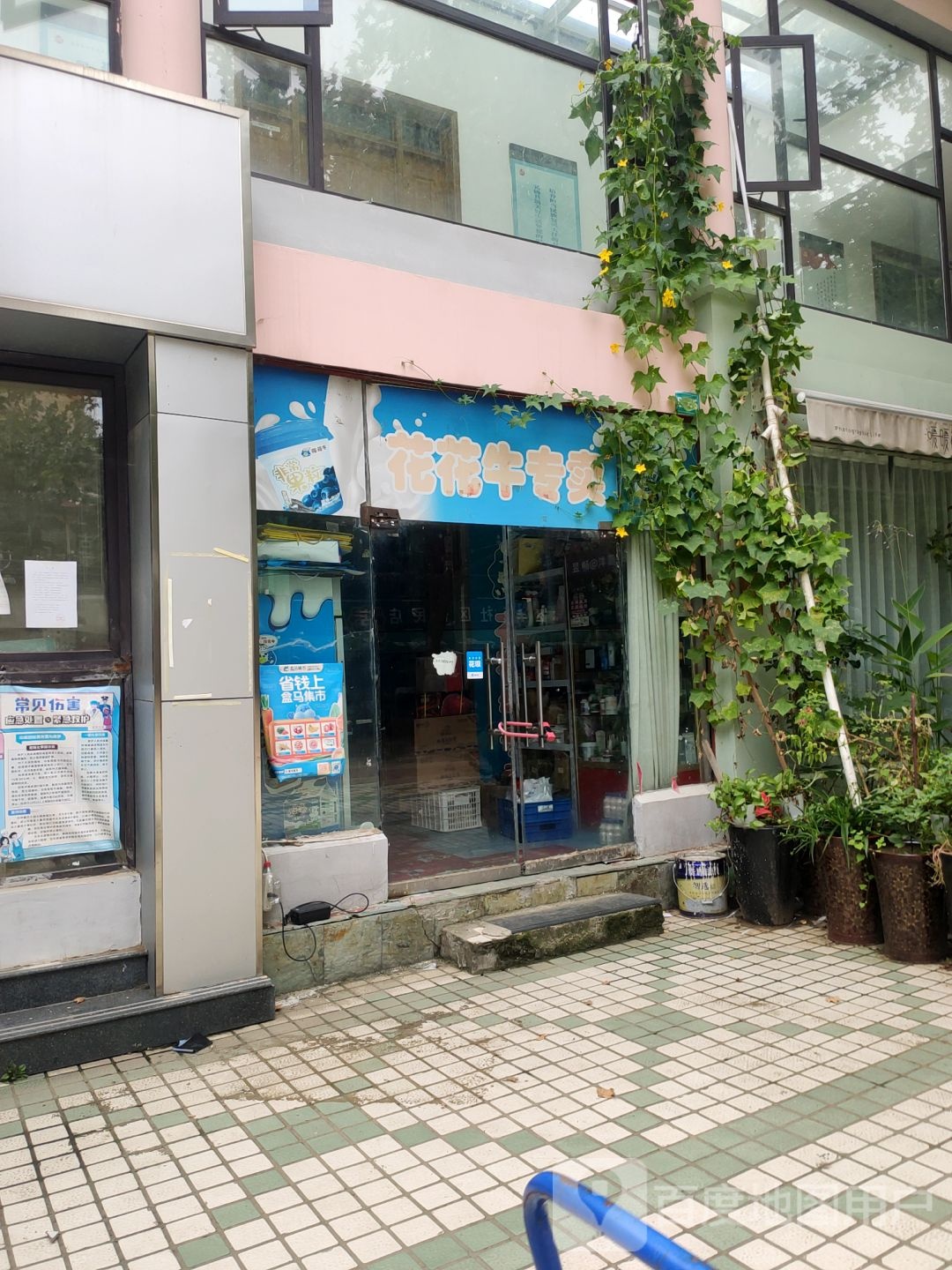 花花牛专卖(宋寨南街店)