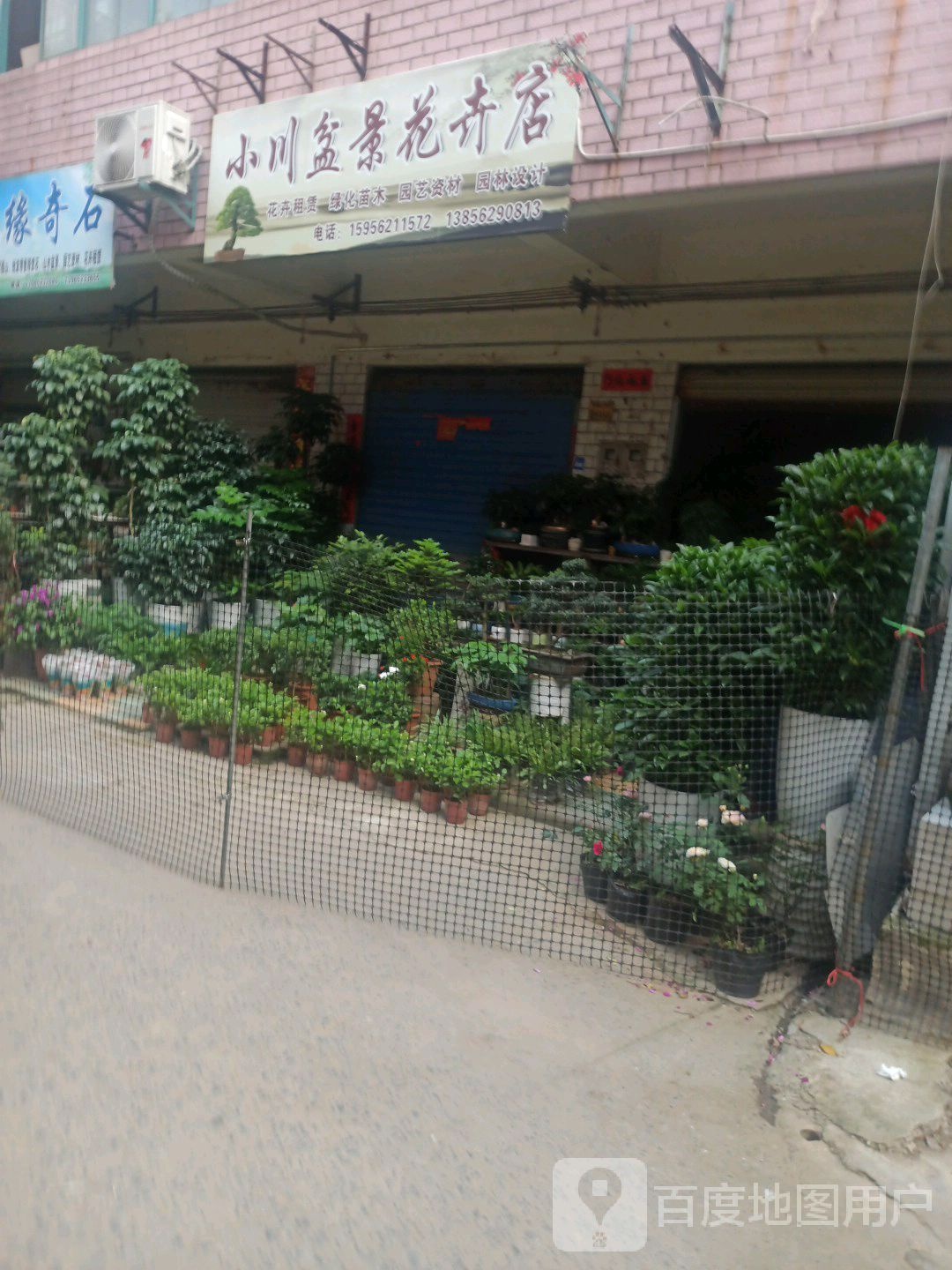小川盆景花鸟店(银杏商贸城店)