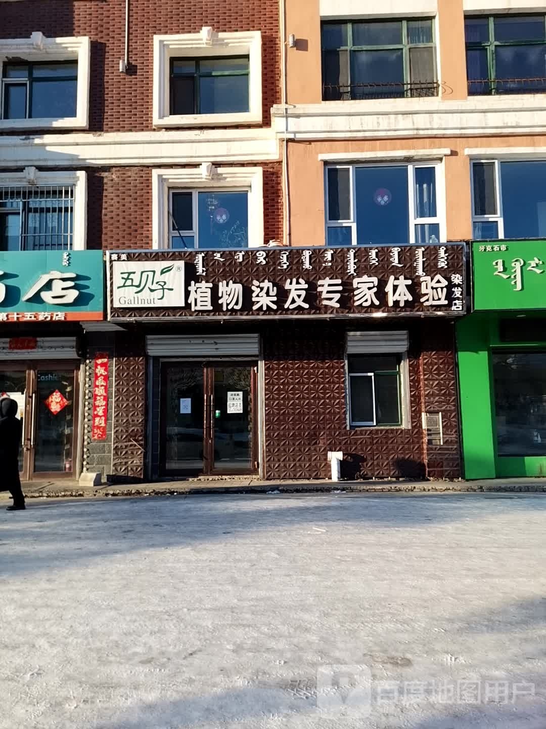 五贝子植物染发专家体验