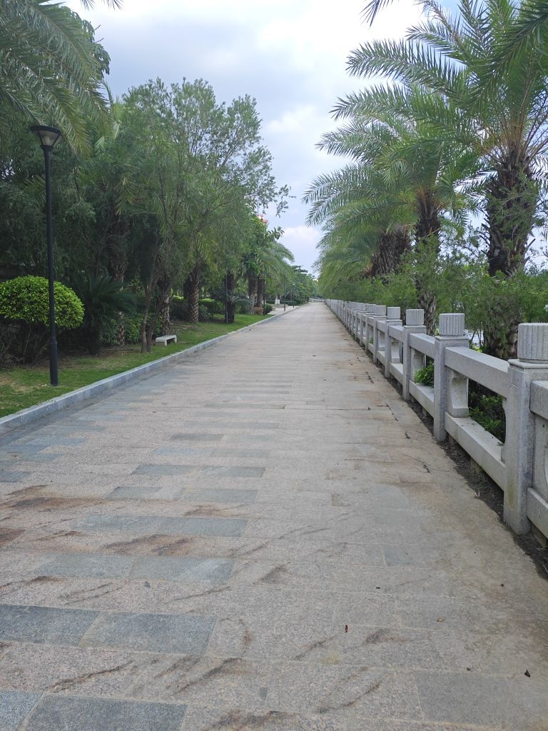 龙王湾海洋湿地公园