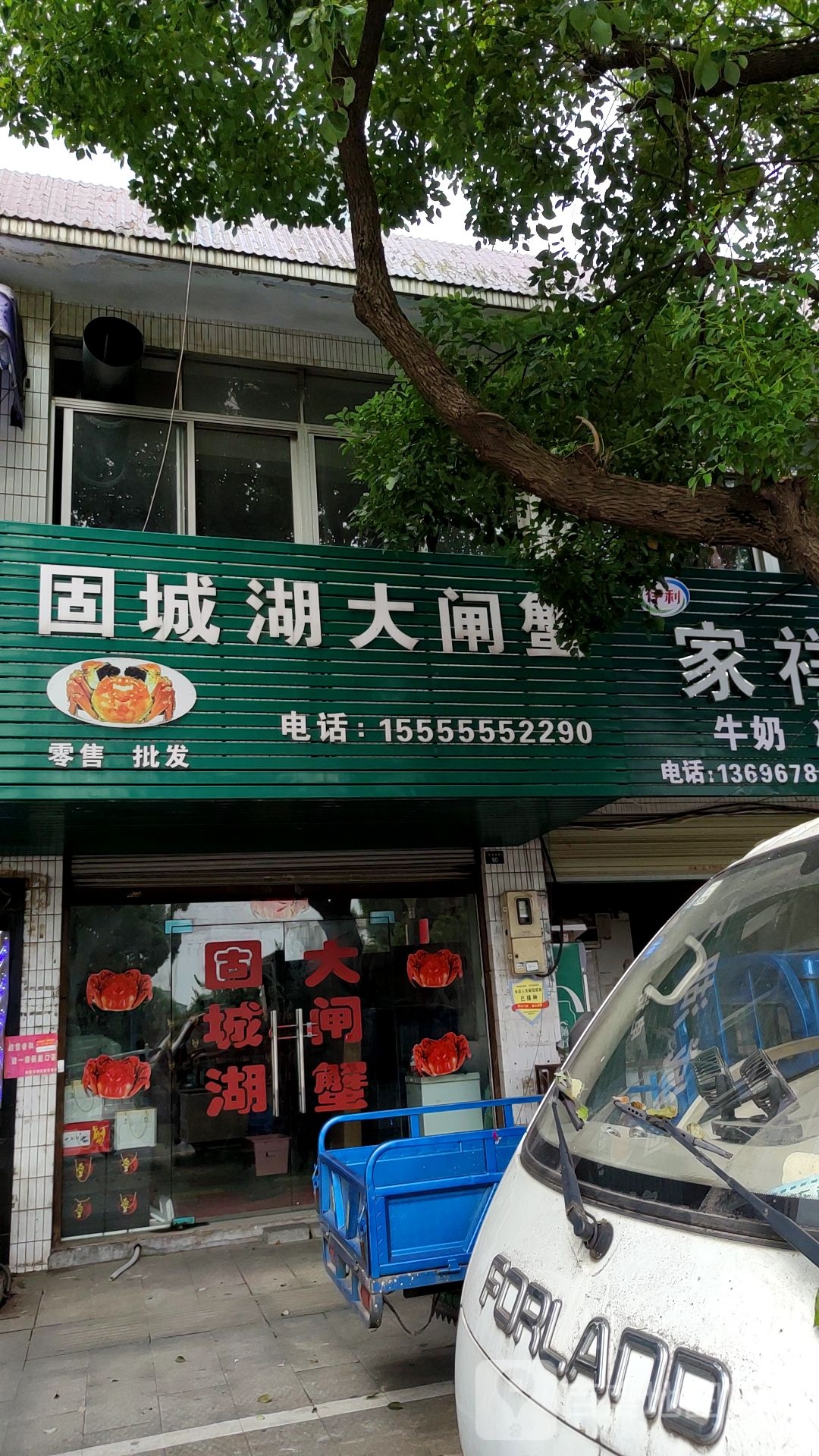 固城湖大甲蟹(龙潭南路店)