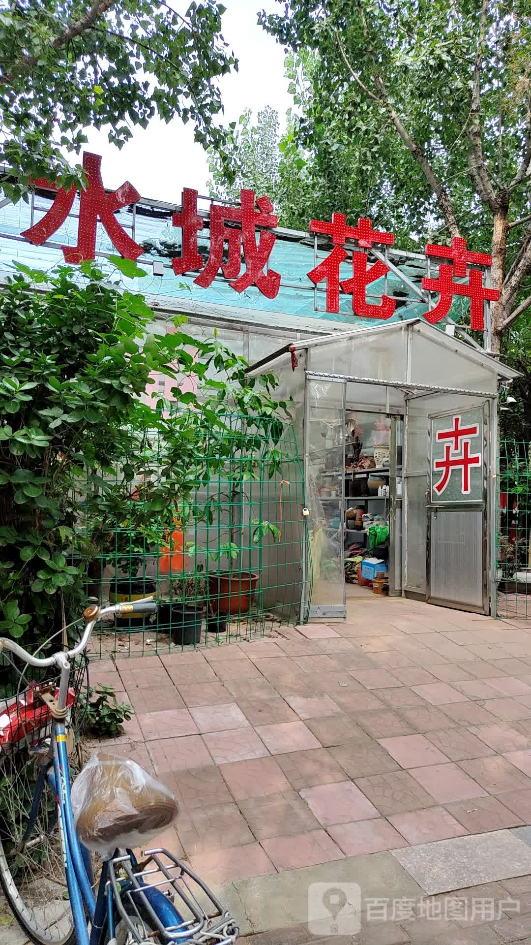 水城花卉