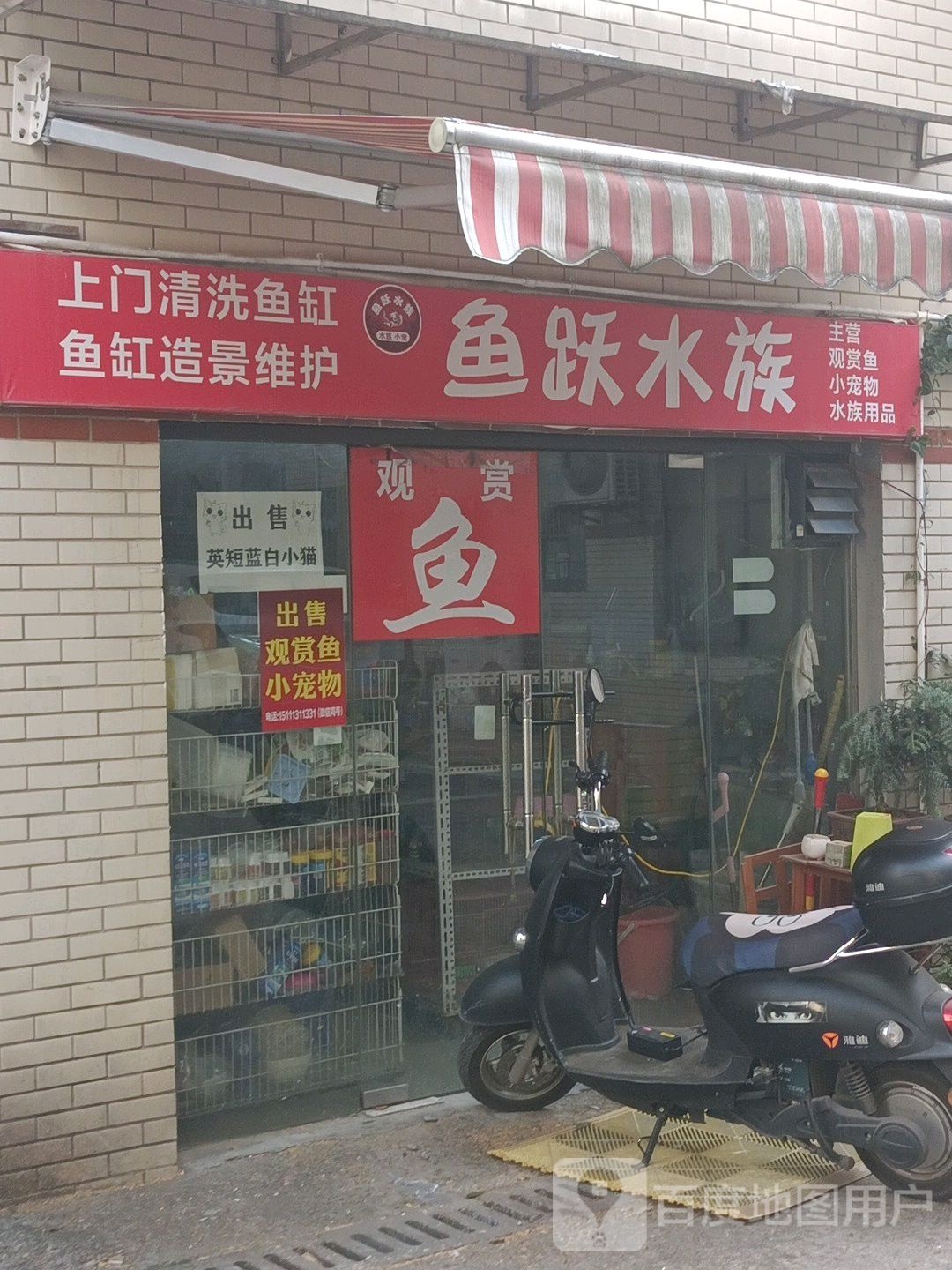 鱼跃水族(象嘴路店)