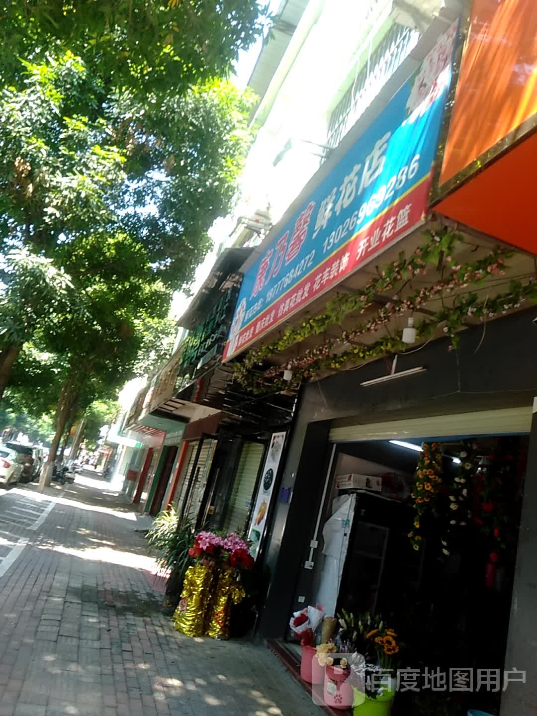 康乃馨鲜花店