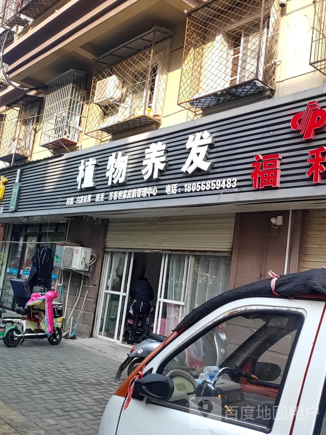 植物染养