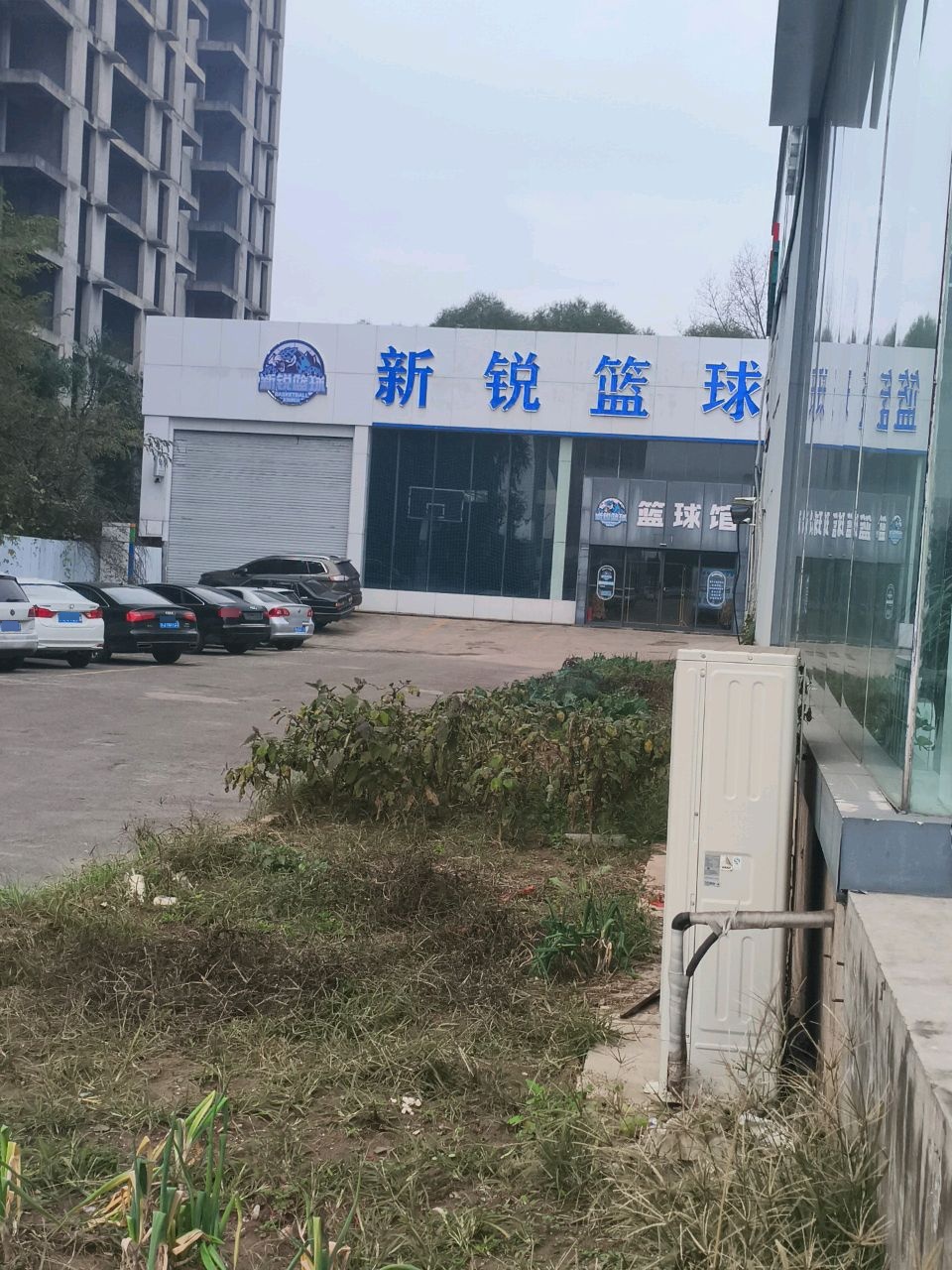 新锐篮球