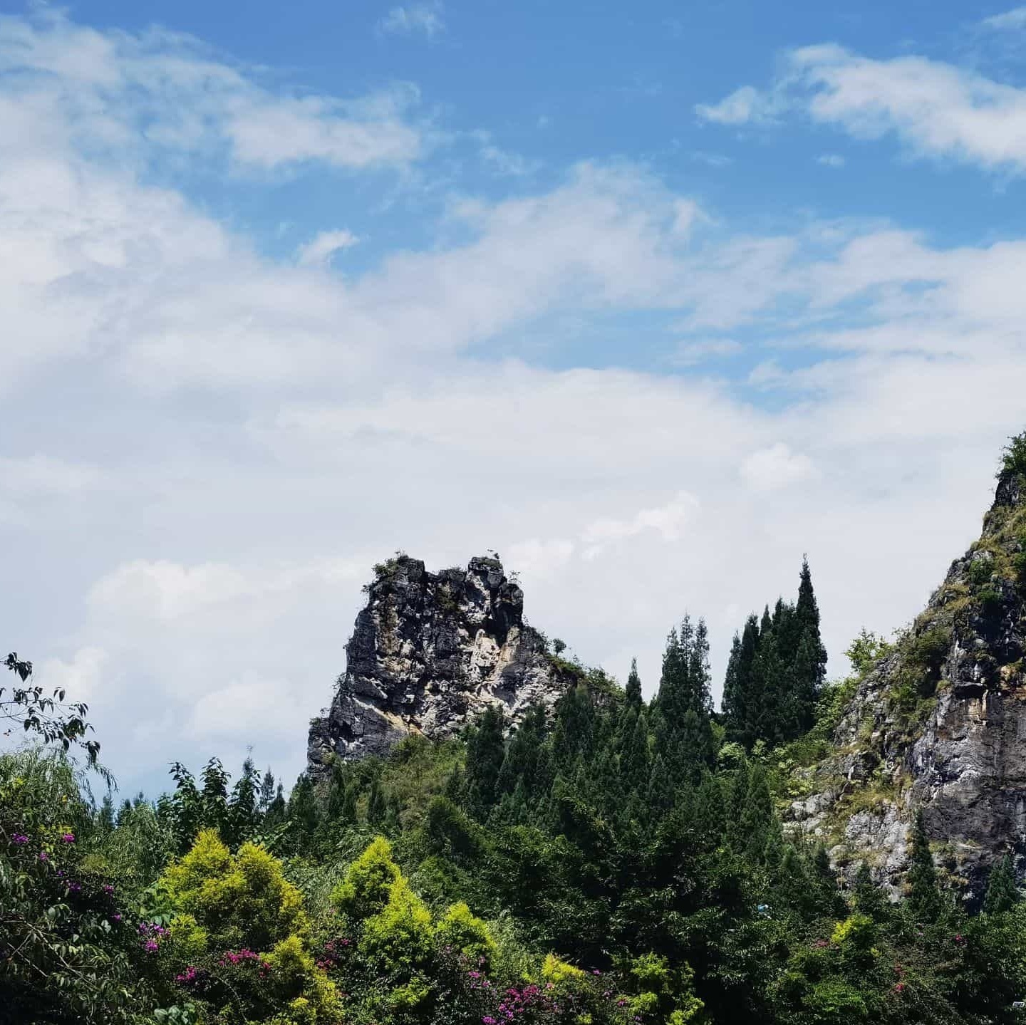 万峰林纳录花海