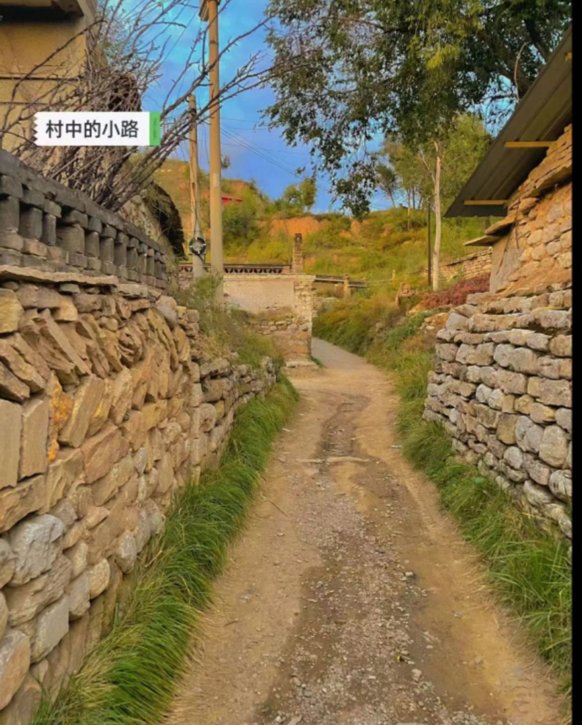 张家塔村