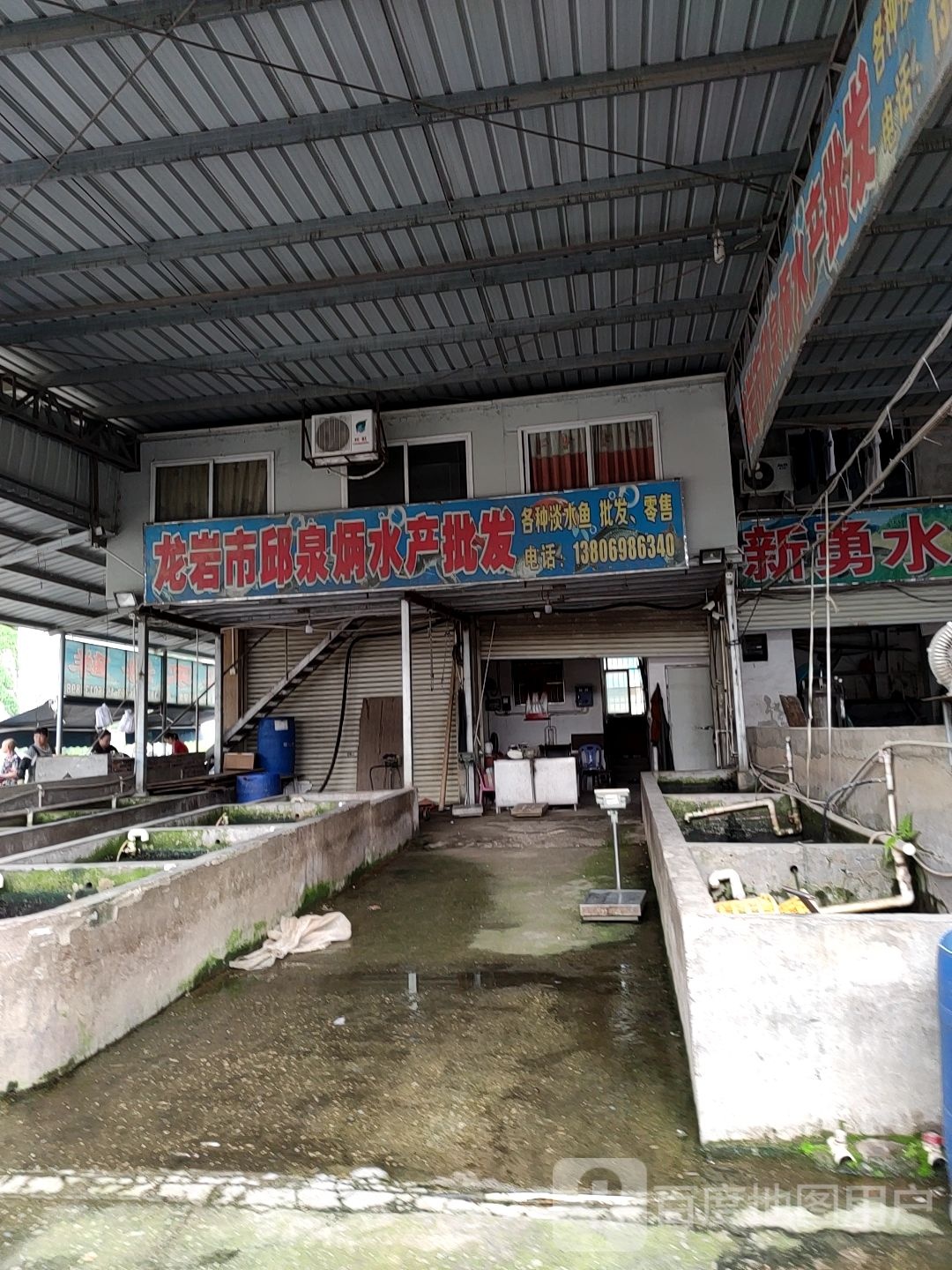 龙岩市邱泉炳水产批发