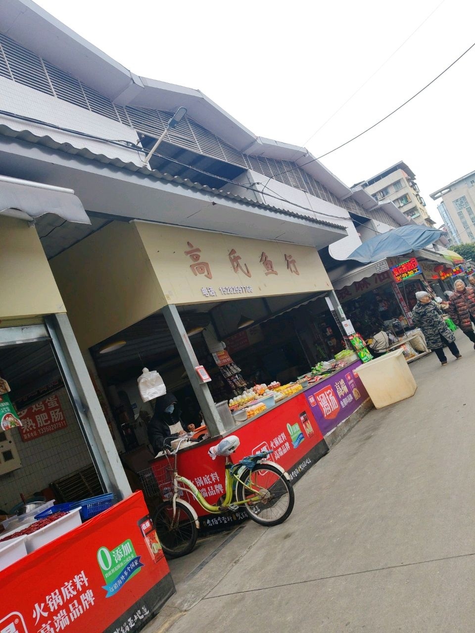 高氏鱼行