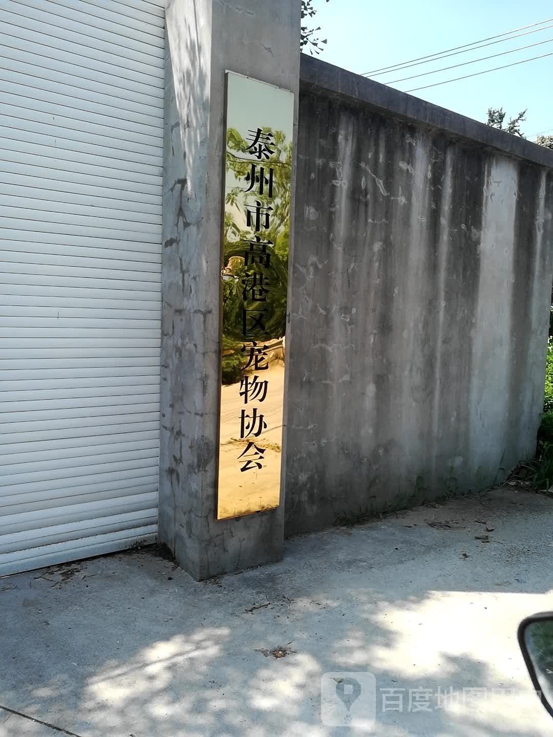 泰州市高港区宠物协会