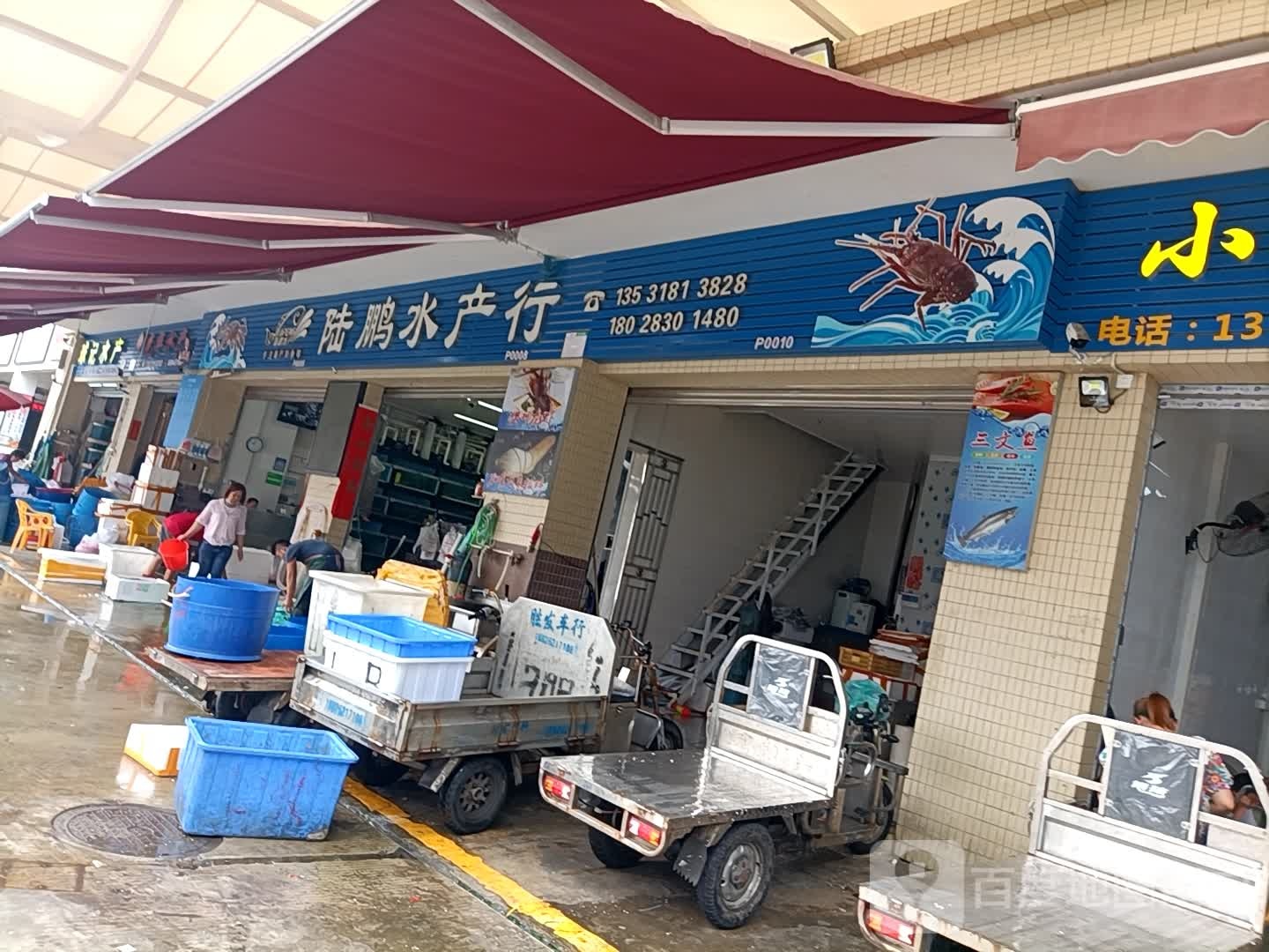 陆鹏水产行
