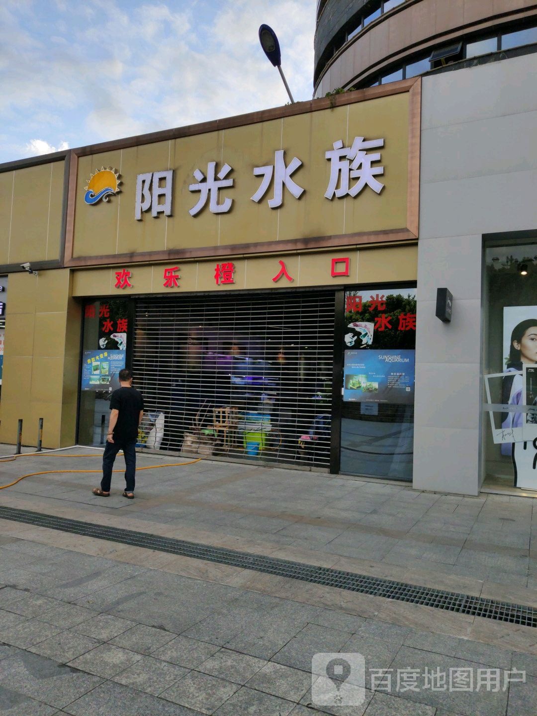 杨光水族(欢乐橙店)