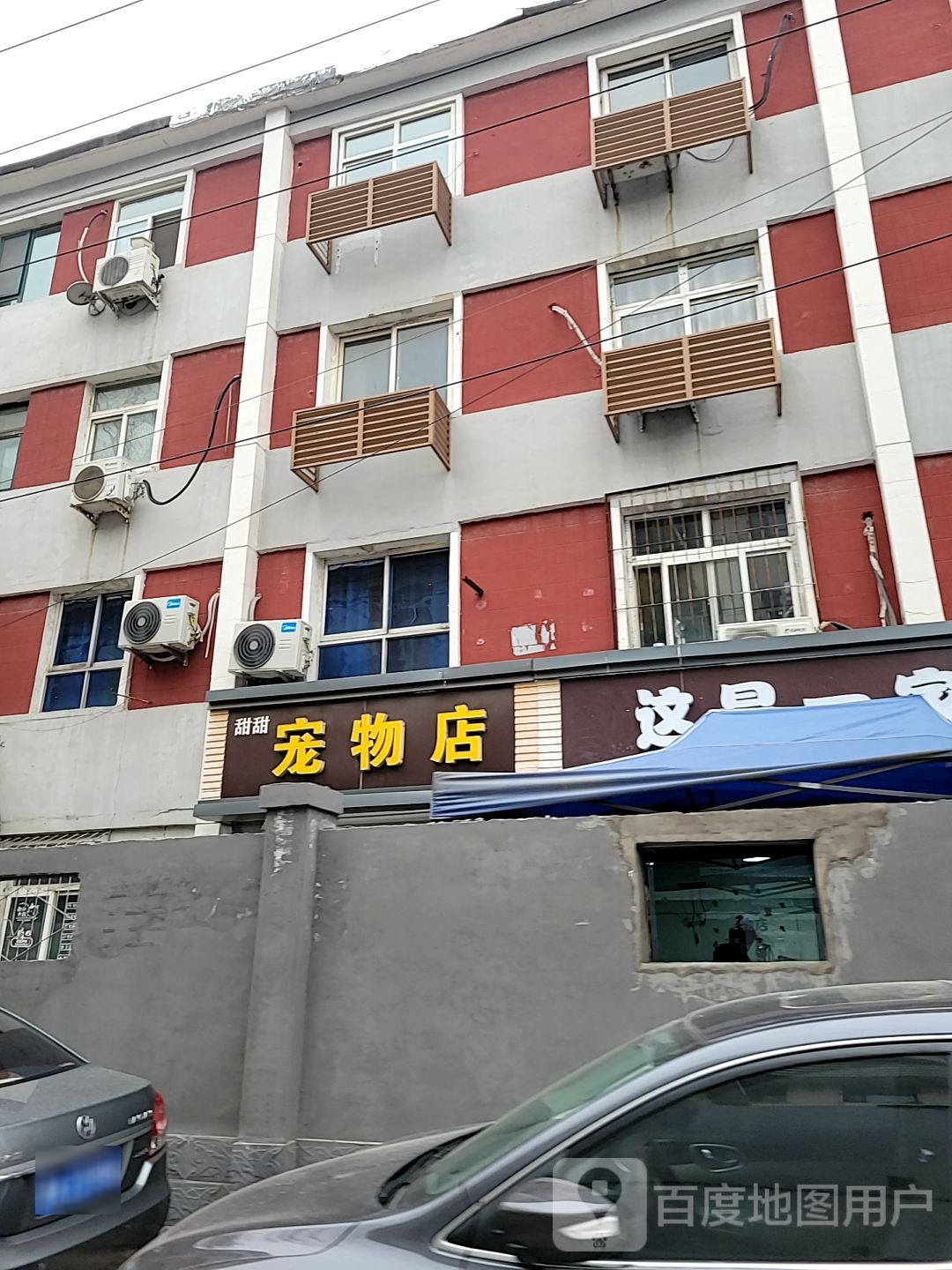 甜甜宠物店