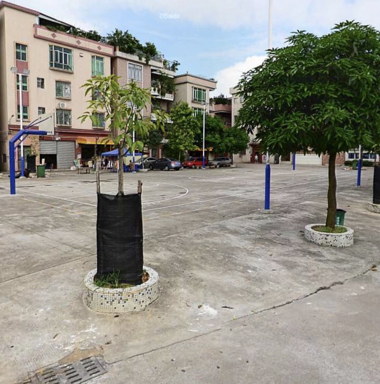连村环桂新路篮球场