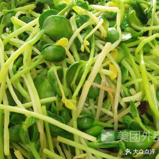 胖哥麻辣烫鸡(城里街店)