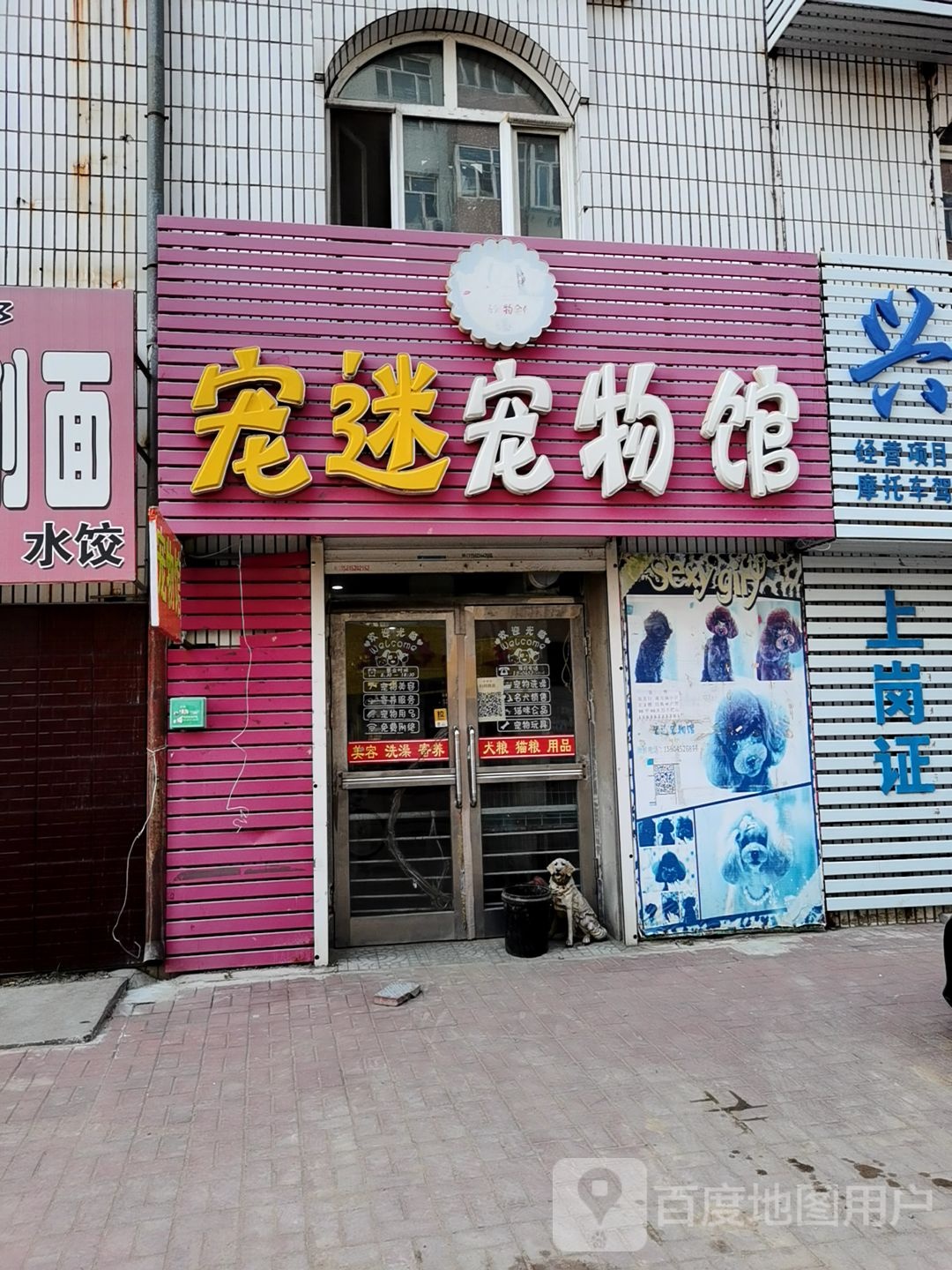 宠迷宠物馆(南市场小区店)