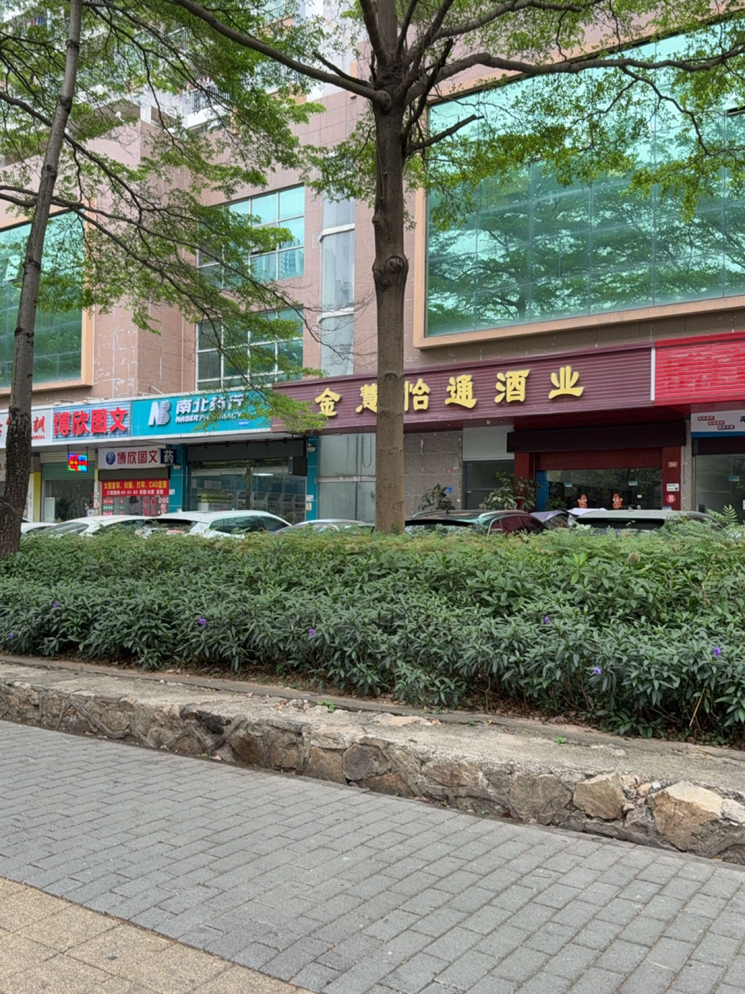 玉兰阁古筝培训