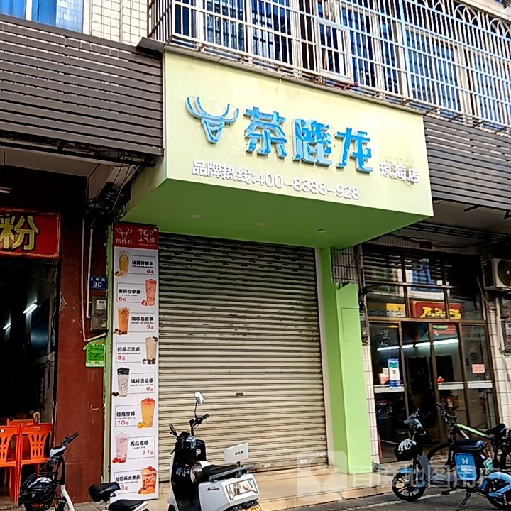 茶鹿龙(琼海店)