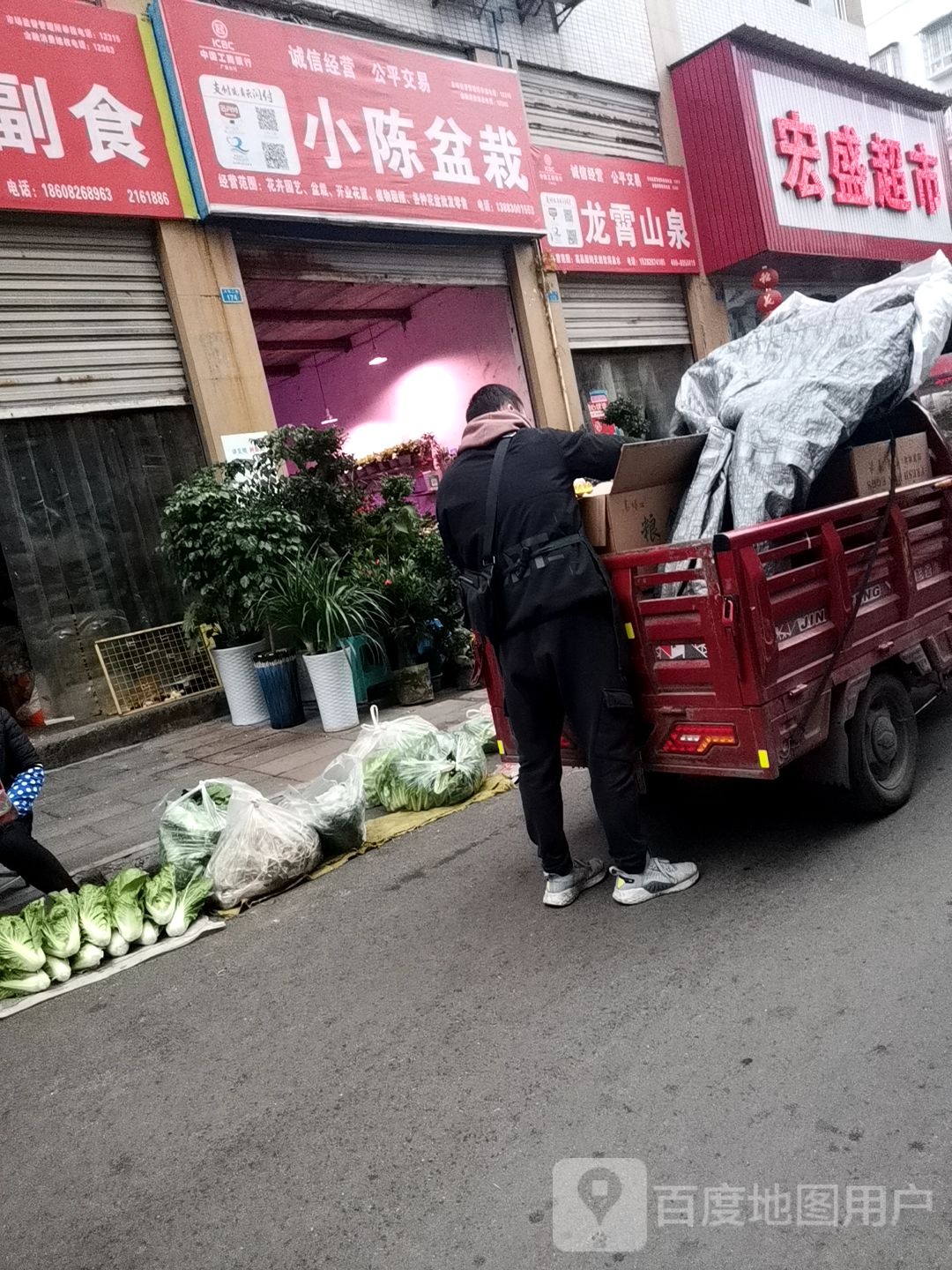 小陈盆栽