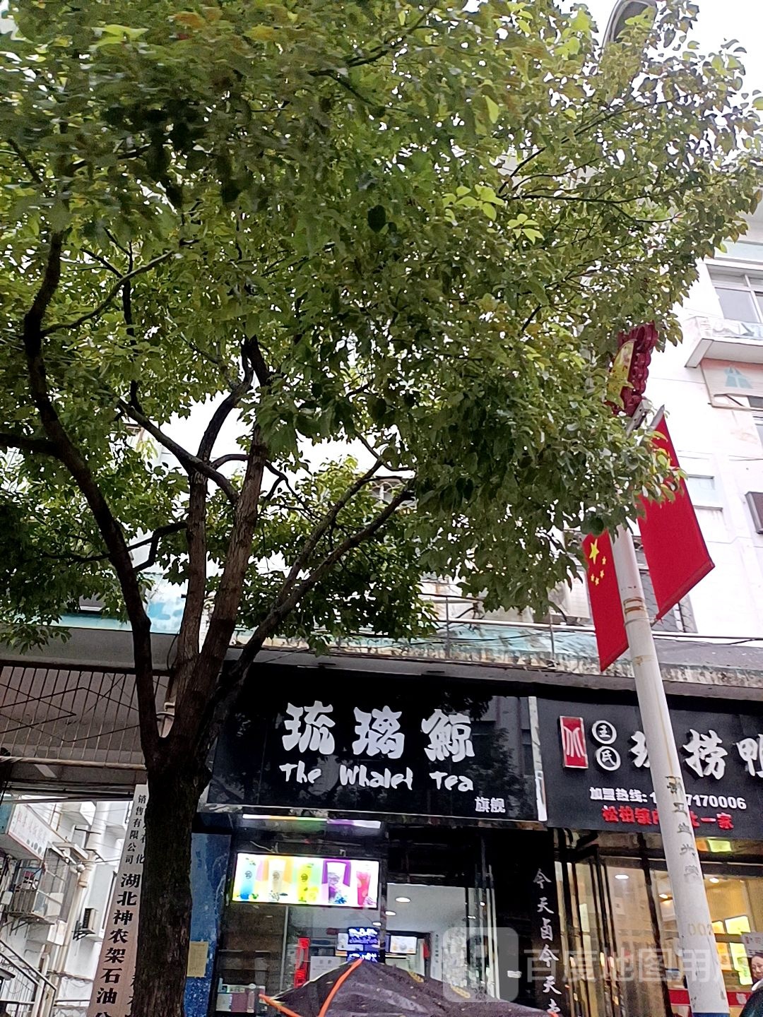 琉璃鲸东(中心街店)