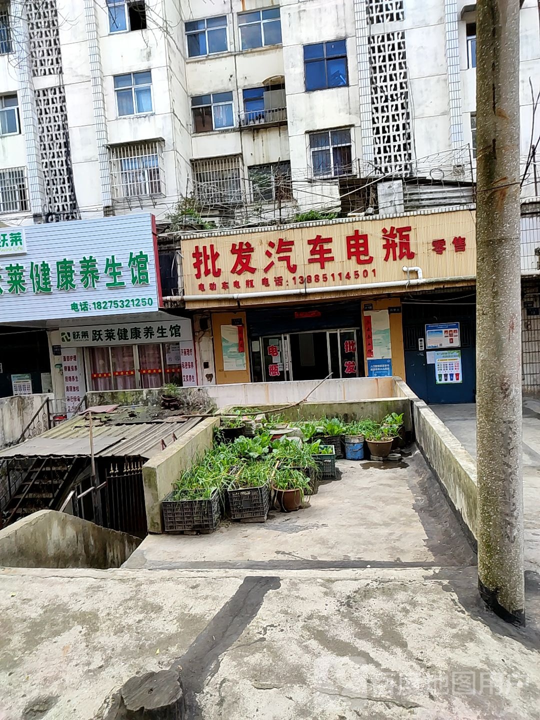 跃莱健康养生会