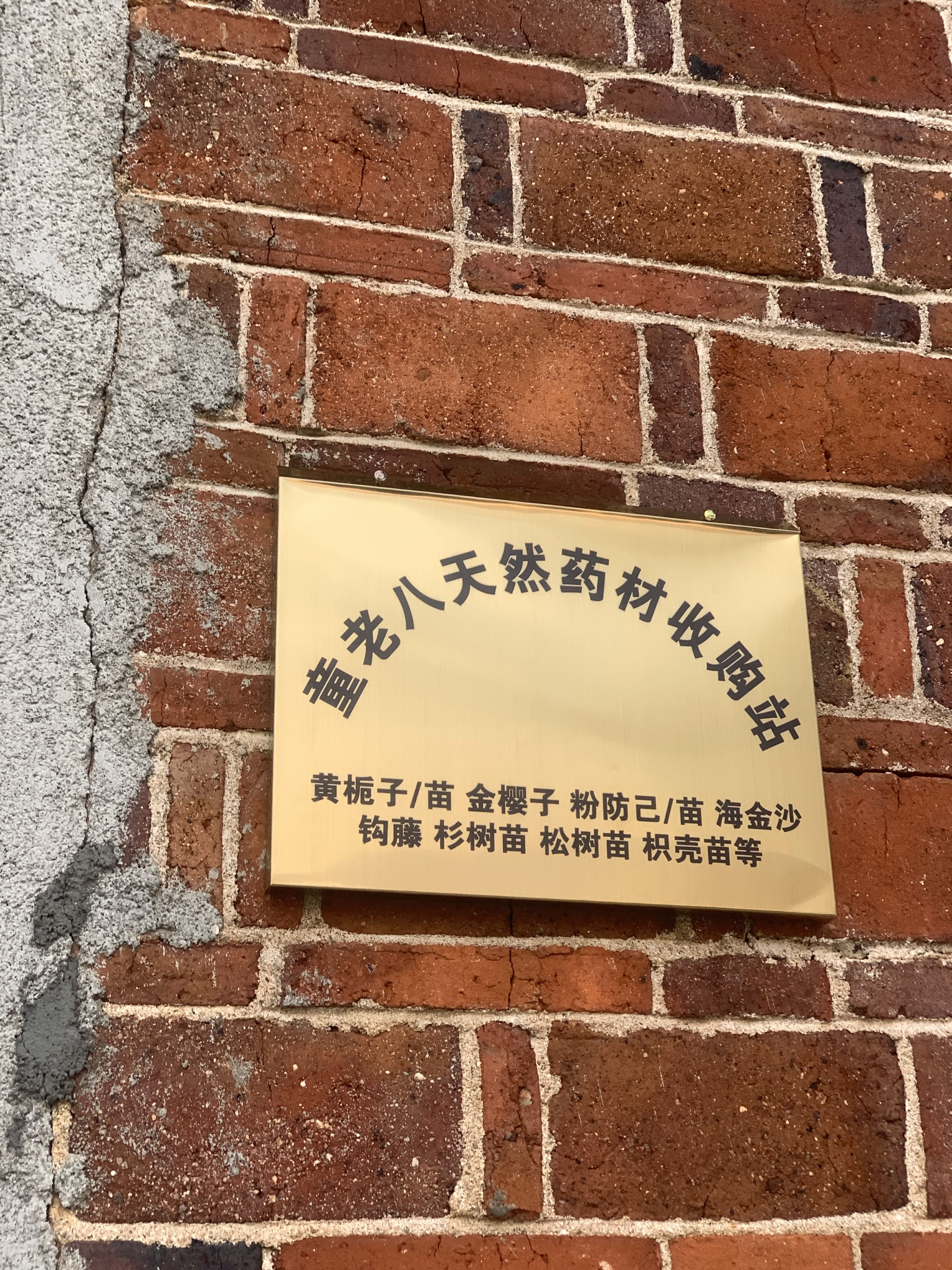 童老八天然药材收购站