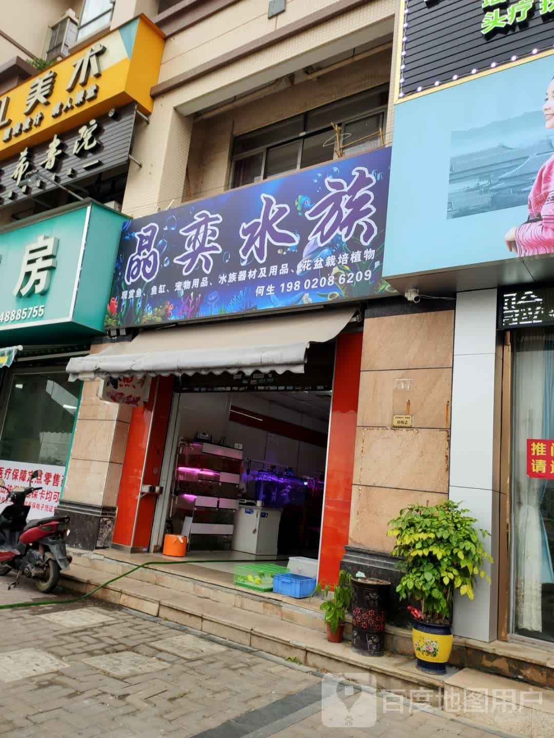 晶奕水族(州际新天店)