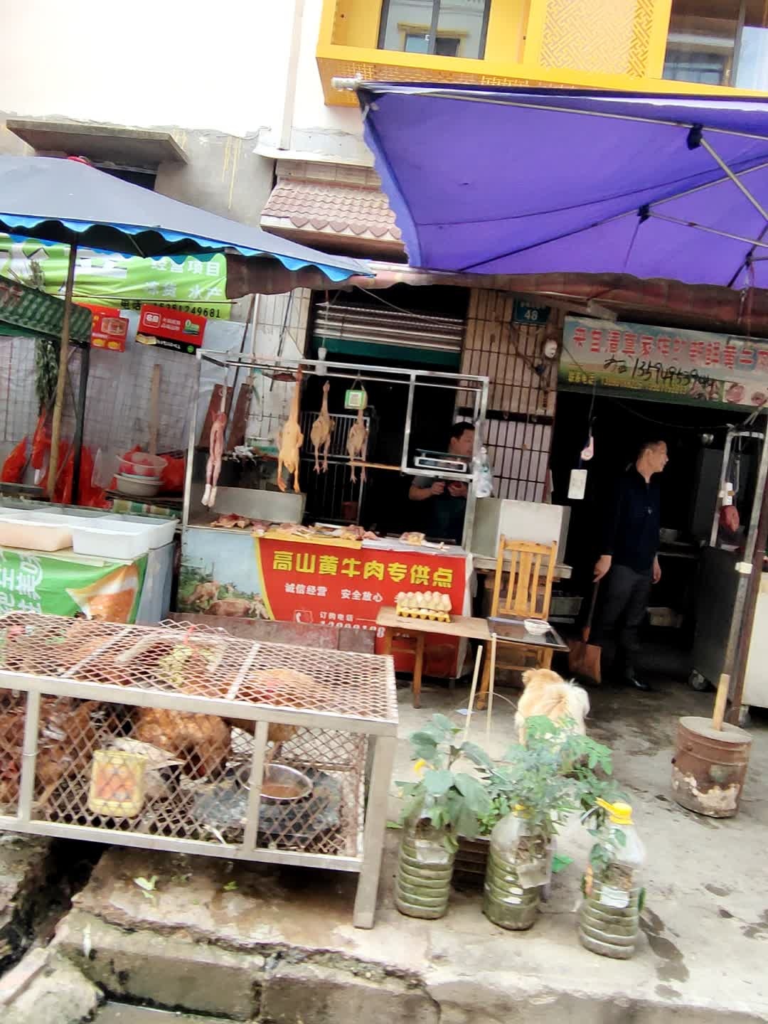 来自清真家族的新鲜黄牛肉