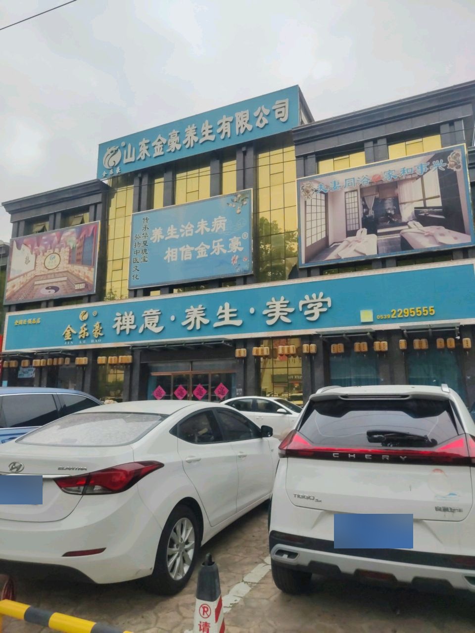 金乐豪禅意养生美学