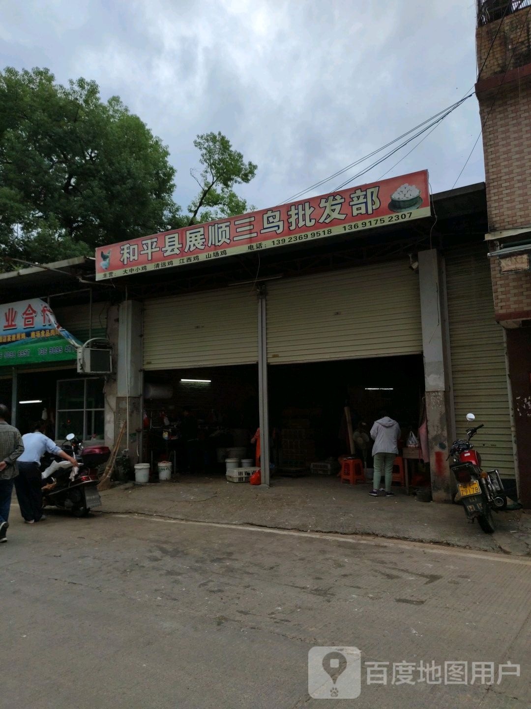 和平县展顺三鸟批发部